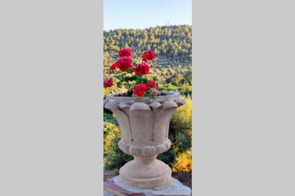 La Casa De Piedra, Una Ventana Al Paraiso Matet Extérieur photo