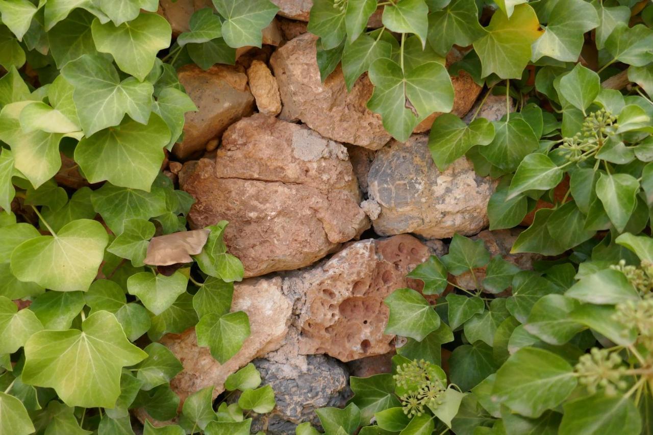 La Casa De Piedra, Una Ventana Al Paraiso Matet Extérieur photo